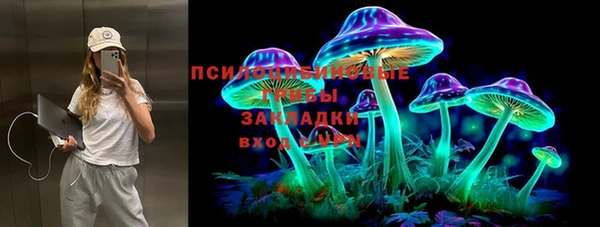 ешки Богородицк