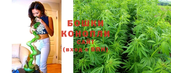 ешки Богородицк