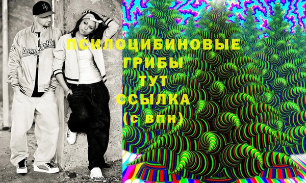 тгк Богданович