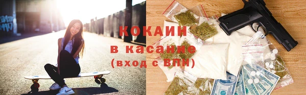 тгк Богданович