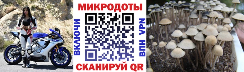 shop формула  Красноярск  Галлюциногенные грибы ЛСД  закладки 